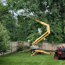 Professional  Tree Services in Ocean Bluff Brant Rock, MA